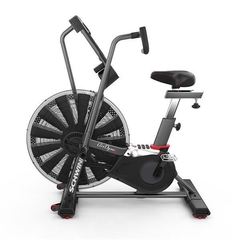 Airbike Schwinn Airdyne AD8 - GY013 - comprar online