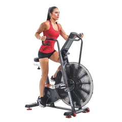 Airbike Schwinn Airdyne AD8 - GY013 - comprar online