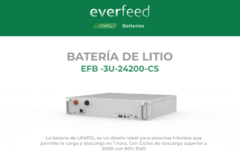 BATERIA LIFE PO4 LITIO 24V 200Ah EverFeed