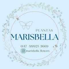 Marisbella Flores e Plantas - loja online
