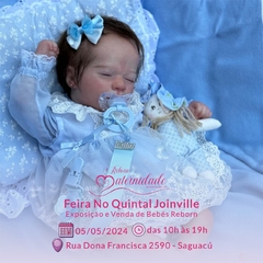 Reborn Maternidade andreia - No Quintal Joinville