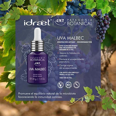 IDRAET BOTANICA Uva Malbec Serum Regenerador 30gr