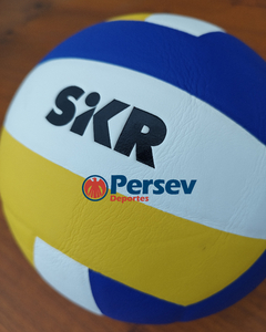 Imagen de Pelota Voley Striker Competition V5-250