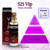 Perfume 521 Vip Men Amakha Paris 15ml - comprar online