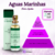 Perfume Aguas Marinhas Amakha Paris 15ml - comprar online