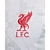 Camisa Liverpool Third 24/25 - Torcedor Nike Masculina - - comprar online