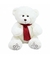 Urso Branco Cachecol Vermelho 35cm - Pelúcia