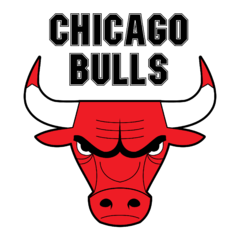 Banner da categoria Chicago Bulls