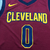 Cleveland Cavaliers 21/22 ICON EDITION - Bordô - loja online