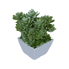 Planta artificial.Modelo:HL-FAC6731 en internet