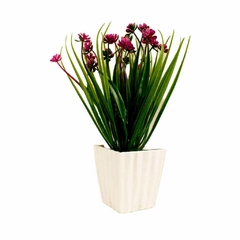 Plantas.Modelo:HL-FAC9313 - comprar en línea