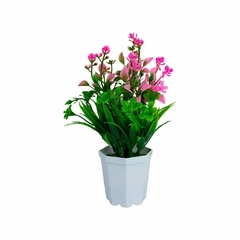 Planta.Modelo:HL-YH23286