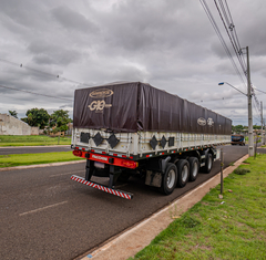 Carreta Facchini Ls 4Eixo Graneleiro – 2022/22 na internet