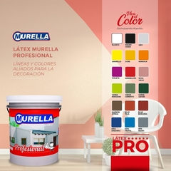 Latex Profesional Exterior Color Murella