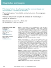 Princípios físicos da ultrassonografia com contraste por microbolhas - revisão de literatura