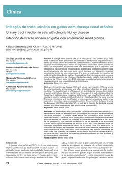 Infecção do trato urinário em gatos com doença renal crônica