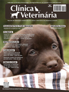 Clínica Veterinária 123