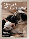 Clínica Veterinária 34