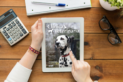 Imagem do Assinatura digital da Revista Clínica Veterinária