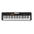 Teclado Casio CTS100 - Black