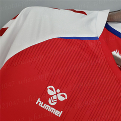 CAMISA DINAMARCA 21/22 HOME na internet