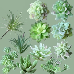 11pcs eunindo suculentas artificiais plantas casa jardim decoração - loja online