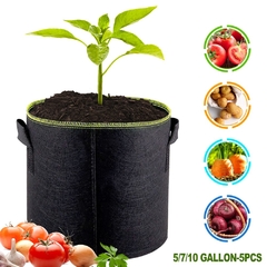 5pcs 5/7/10 galões, flor de vegetais, batata - comprar online