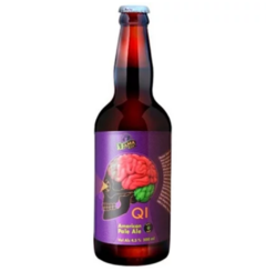 Dama Bier QI 600ml