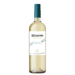 Vinho Benjamin Nieto Senetiner Branco Argentina 2022 750ml