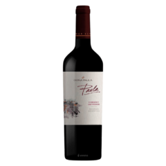 Vinho Doña Paula Cabernet Sauvignon 750ml (Argentina)