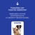 Caixa De Transporte Cachorro Gato Coelho Azul/preto N3 52cm - loja online