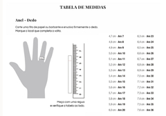 ANEL DUPLO ZIRCÔNIAS na internet