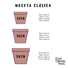 Maceta "Pelusa Coyita" - comprar online