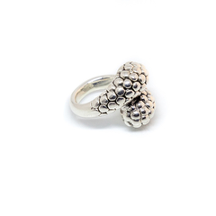 Anillo Snake