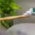 Escova Dental de Bambu Biodegradável Infantil – The Humble na internet
