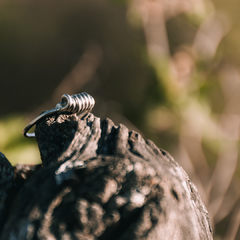 Anillo Alambrado