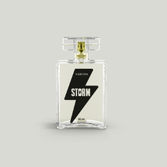 Storm - Perfume Masculino - 50 ml na internet