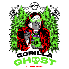 GORILLA GHOST - KiwiLimon