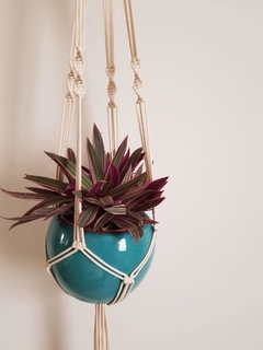 Hangerplant Diamond - comprar online