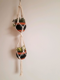 Hangerplant Poti