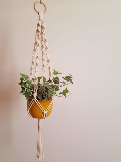 Hangerplant Luna