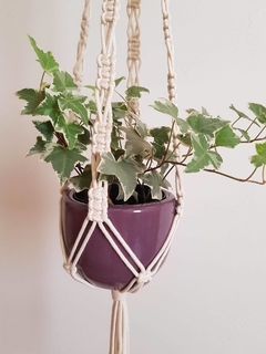 Hangerplant Noah