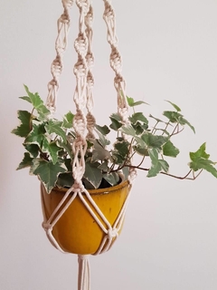 Hangerplant Luna - comprar online