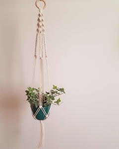 Hangerplant Torreh