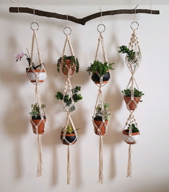 Painel Ujá - Hangerplants - comprar online