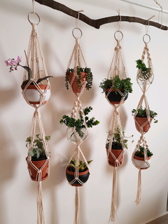 Painel Ujá - Hangerplants