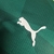 Camisa Palmeiras I 23/24 Jogador Puma Masculina - Verde na internet