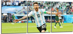 Cuadro Argentina Messi Festejo Gol