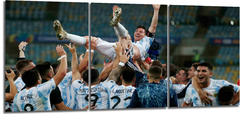 Cuadro Argentina Messi Festejo