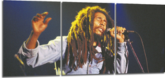 Cuadro Bob Marley Cantando
